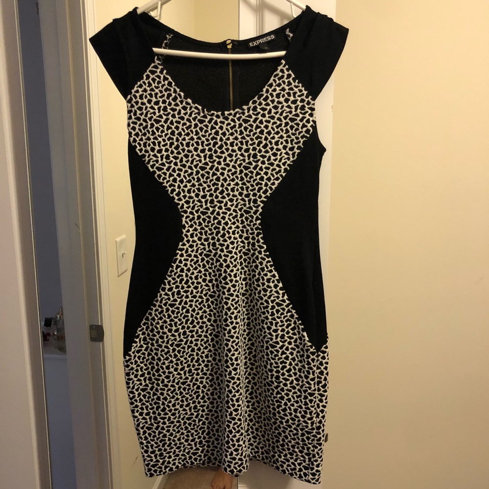 Express leopard dress